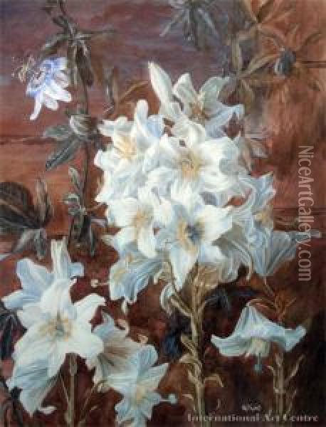 Lillies Oil Painting - Margaret Olrog Stoddart