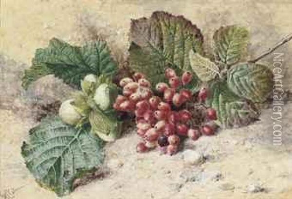 Still Life Of Acorns And Redcurrants Oil Painting - Helen Cordelia Coleman Angell
