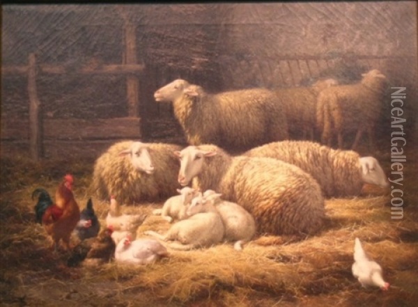 Sheep In Stable Oil Painting - Theo van Sluys