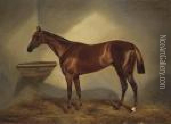 A Chestnut Racehorse In A Stable Oil Painting - Benjamin Cam Norton