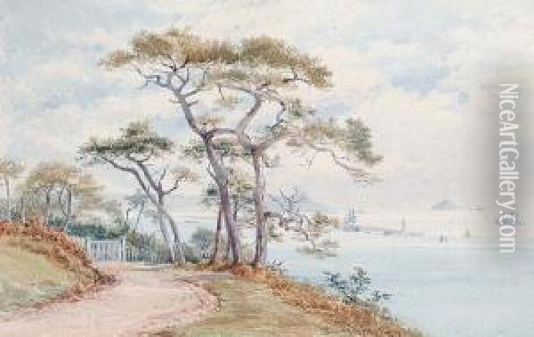 View From The Earl's Ride In Mount Edgcombe Across Plymouth Sound Oil Painting - Philip Mitchell