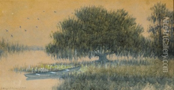 Live Oak Tree And Pirogue Oil Painting - Alexander John Drysdale