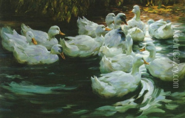 Heimwarts, Elf Weisse Enten Auf Dem Wasser Oil Painting - Alexander Max Koester