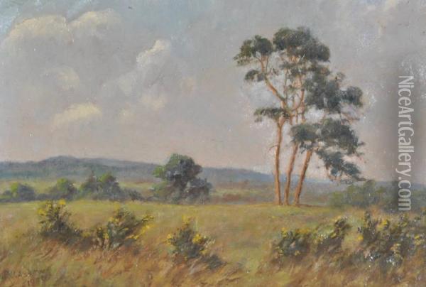 Extensive Landscape Oil Painting - John Askew