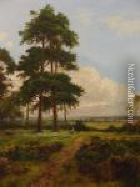 The Outskirts Of The Wood Oil Painting - Daniel Sherrin