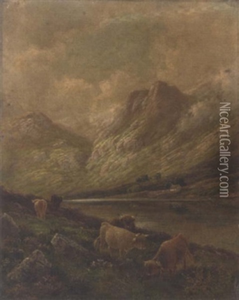 Highland Cattle, Perthshire Oil Painting - Albert Dunington