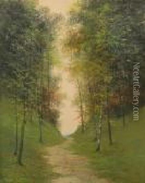 Birch Woodland Oil Painting - Vital Keuller