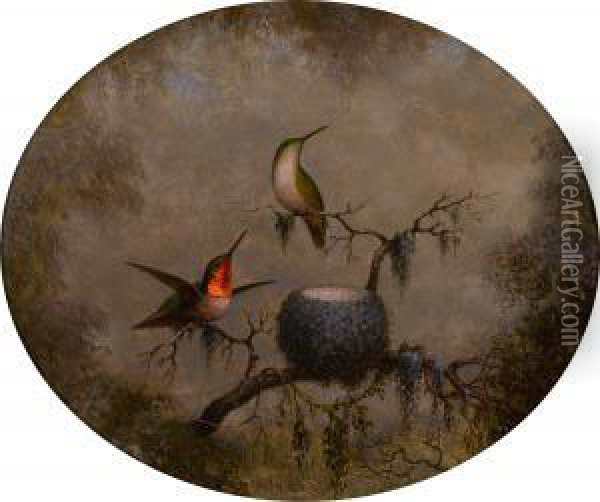 Hummingbirds And Their Nest Oil Painting - Martin Johnson Heade