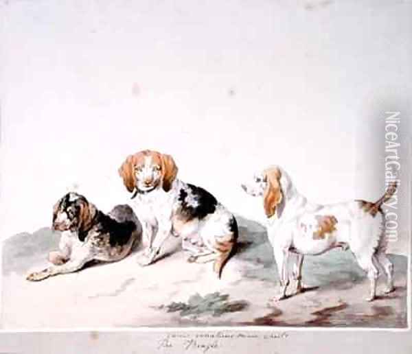 The Beagle Oil Painting - Sydenham Teast Edwards