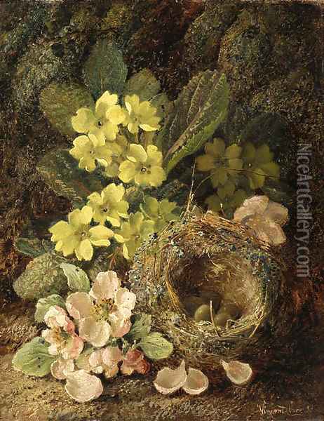 Primroses and bird's nest on a mossy bank Oil Painting - Vincent Clare