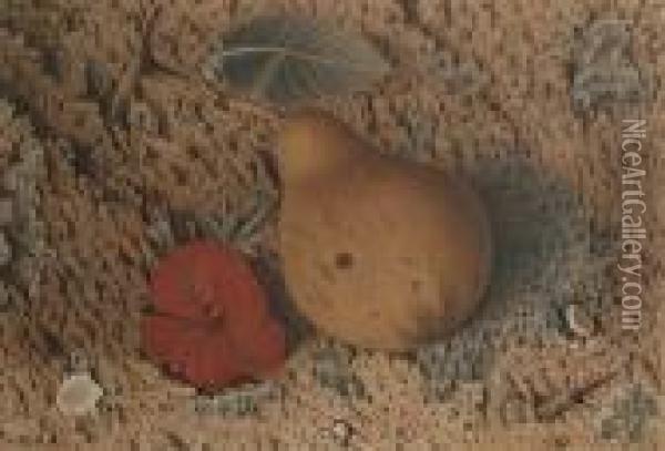 Still Life Of A Pear Oil Painting - William Henry Hunt
