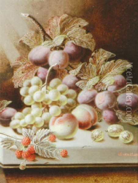Still Life With Mixed Fruit On A Ledge Oil Painting - Oliver Clare