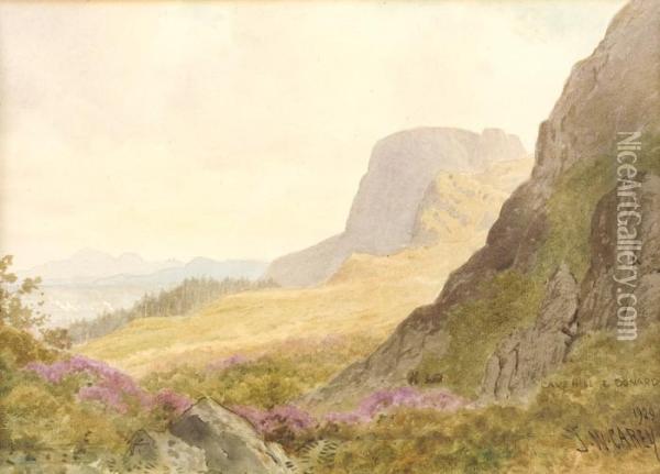 Cavehill & Donard Oil Painting - Joseph Carey Carey