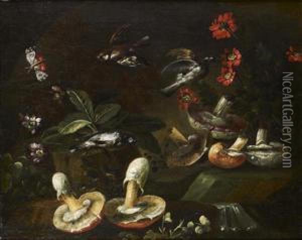 Nature Morte Aux Champignons Et Fleurs, Animee D'oiseaux Oil Painting - Bartolommeo Bimbi