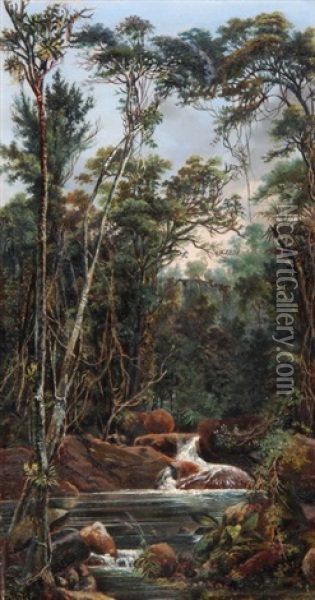 Dschungellandschaft Mit Wasserlauf Oil Painting - Heinrich Naegeli