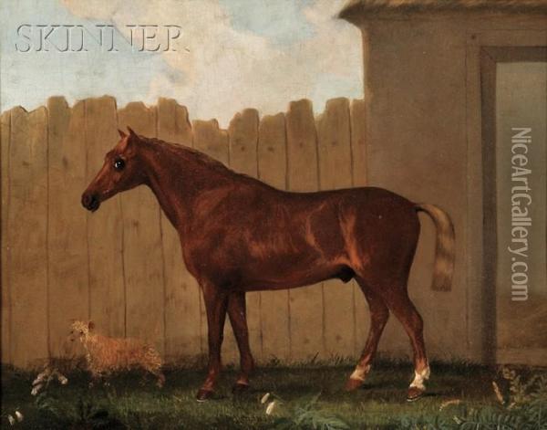 View Of A Thoroughbred And Terrier Oil Painting - Samuel Spode
