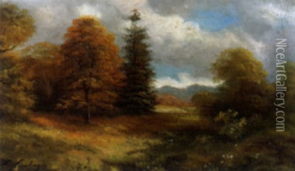 Herbstliche Waldlandschaft Oil Painting - Anton Weinberger