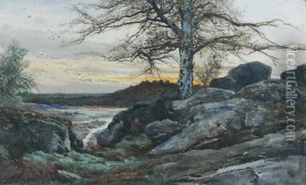La Foret De Fontainebleau Oil Painting - Auguste Allonge