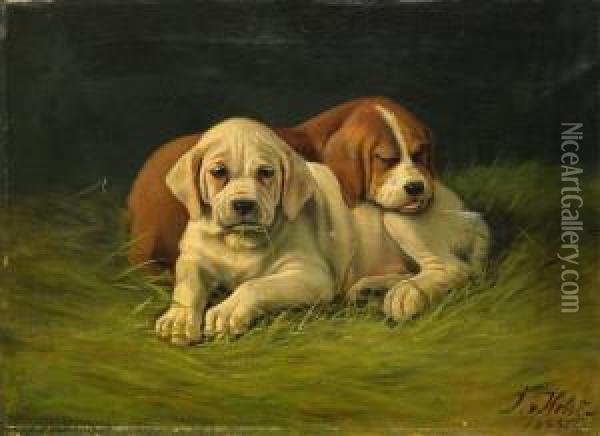 Hundvalpar Oil Painting - Johan Gustav Von Holst