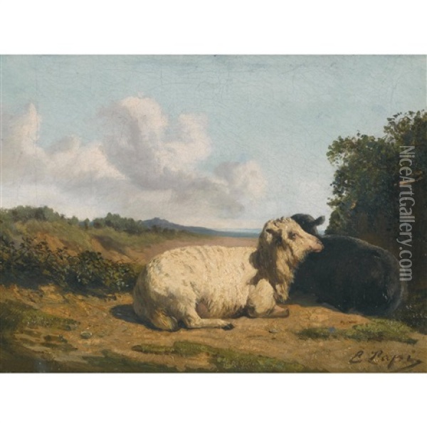 Zwei Schafe Auf Sonniger Weide Oil Painting - Emilio Lapi