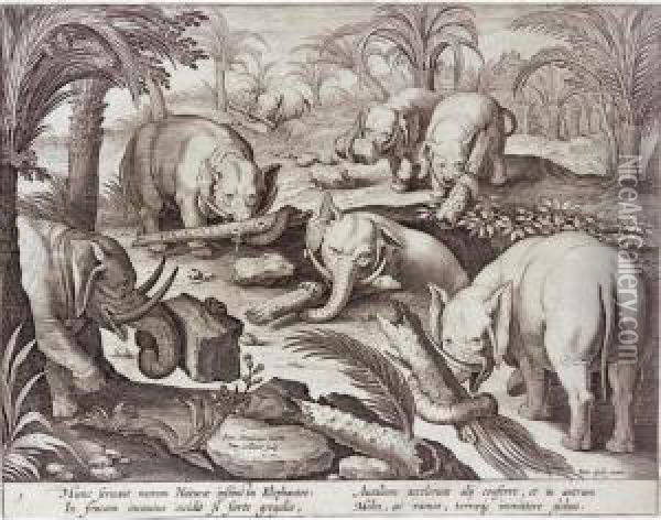 Venationes Ferarum, Avium, 
Piscium. Pugnae Bestiariorum: & Mutuae Bestiarum, Depictae A Ioanne 
Stradano. [amsterdam, C.1630] Oil Painting - Jan van der Straet