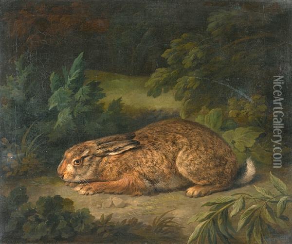 A Hare In A Woodland Clearing Oil Painting - Stephen Elmer