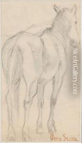 Sketch Of A Horse Oil Painting - Otto Stark