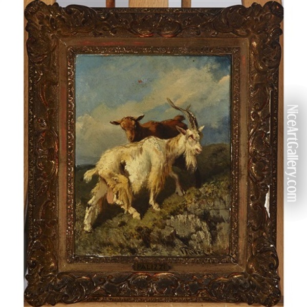 Goat With Kid On A Mountainside Oil Painting - Filippo Palizzi