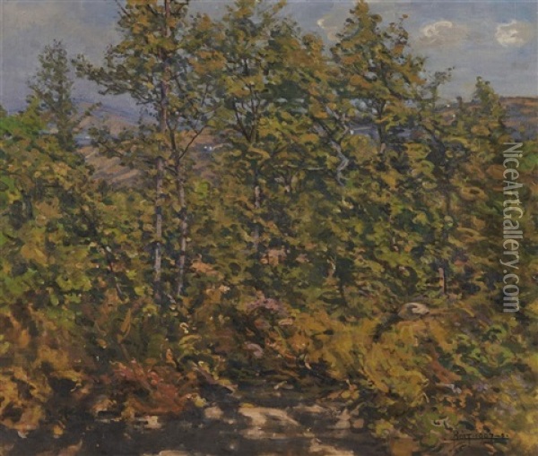 Young Woods At Cernitojo, Tuscany Oil Painting - Edward Darley Boit