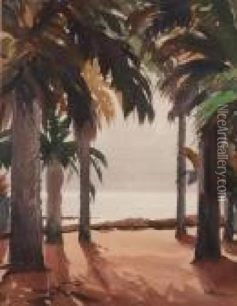 Through The Palm Trees Oil Painting - Vladimir Pavlosky