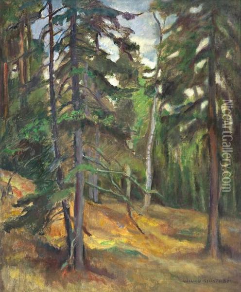 Forest Shade Oil Painting - Wilho Sjostrom