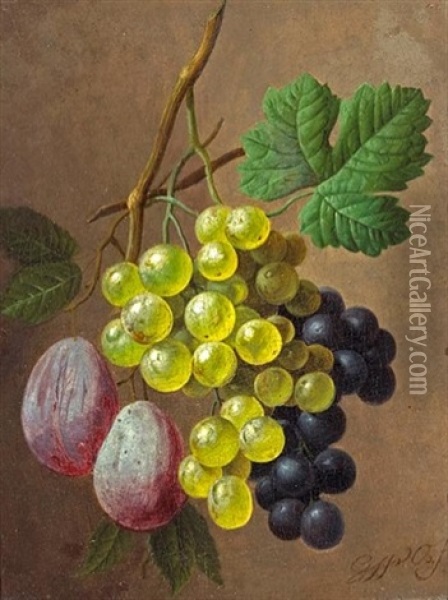 A Still Life With Grapes And Plums Oil Painting - Georgius Jacobus Johannes van (the Younger) Os