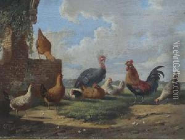 Turkey And Other Fowl Oil Painting - Albertus Verhoesen