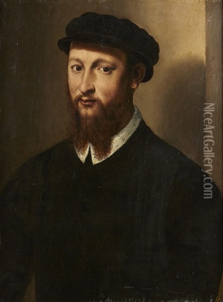 Portrait Oil Painting - Francesco del Rossi (Salviati)