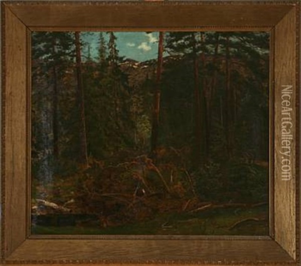 Forest Scene From Norway Oil Painting - Hans Lovaas