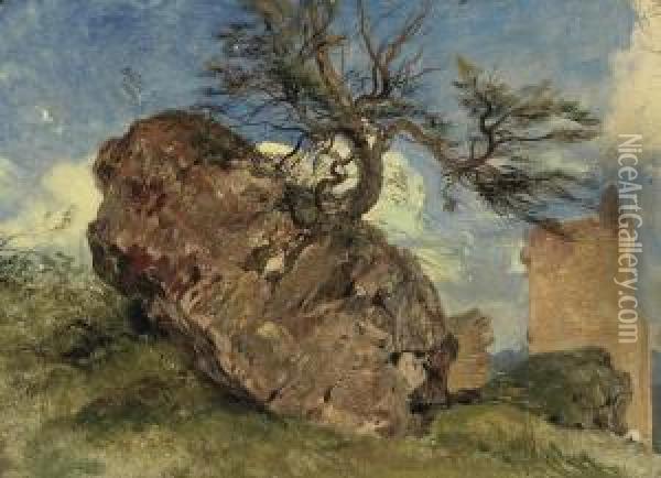 Study Of Rock And Tree Oil Painting - Landseer, Sir Edwin