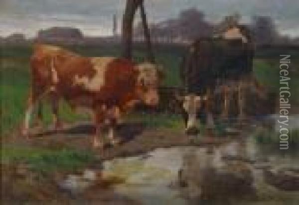 Kuhe An Der Tranke Oil Painting - Gustav Ranzoni