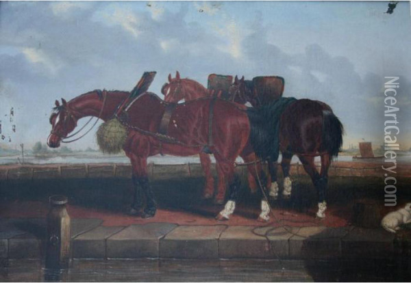 Three Barge Horses And A Dog By A Canal Oil Painting - John Frederick Herring Snr