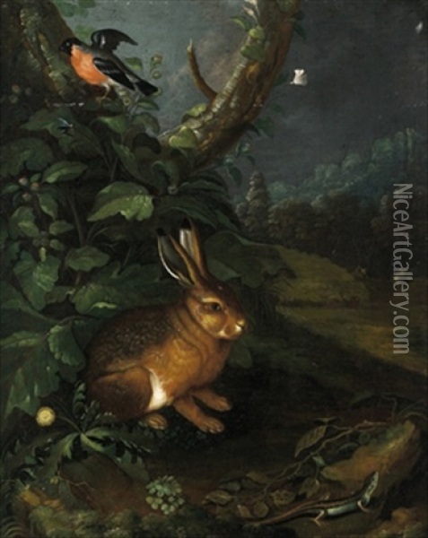 Ein Hase, Ein Dompfaff Und Eine Eidechse In Einem Waldgrund Oil Painting - Johann Baptist Halszel