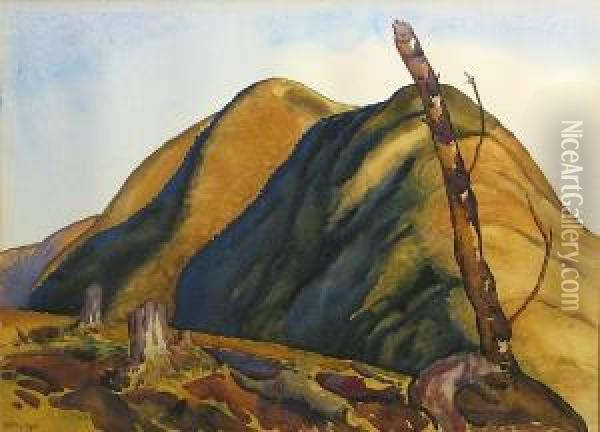 Shadowed Hills Oil Painting - Stanley Huber Wood
