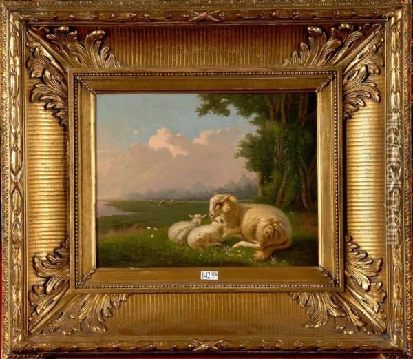 Moutons Couches Au Pre Oil Painting - Louis Verboeckhoven