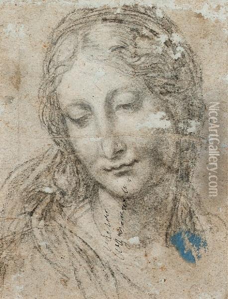 Head Of A Young Woman Oil Painting - Girolamo Mazzola Bedoli