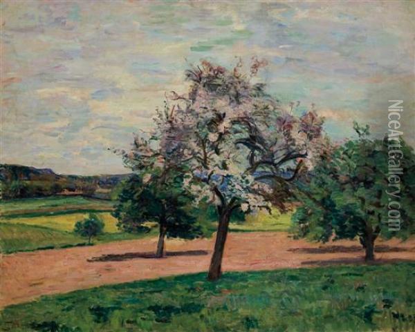 Apple Trees In Blossom Ile De France Oil Painting - Armand Guillaumin