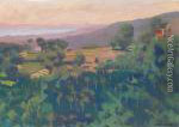 Colline Au-dessus De Cagnes, Le Matin 
Hill Above Cagnes, In The Morning Oil Painting - Felix Edouard Vallotton