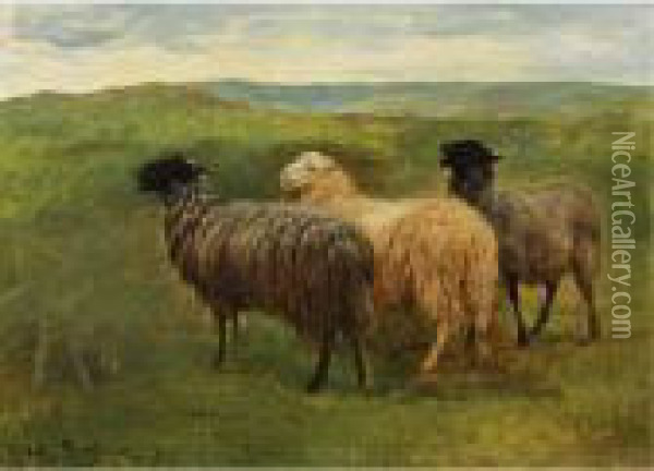 Three Sheep In A Landscape Oil Painting - Rosa Bonheur