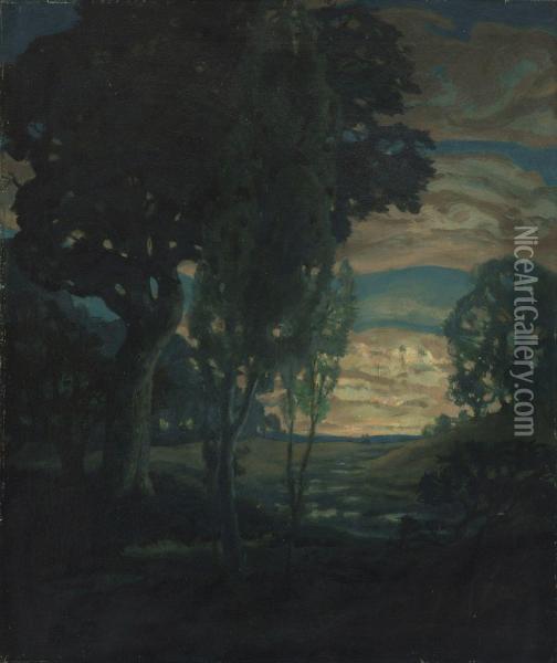 Abendliche Moorlandschaft Oil Painting - Ludwig Dill