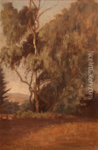 Eucalyptus Along A Path Oil Painting - George Smith Tilden
