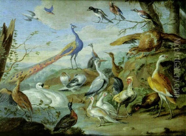 Aigle, Paons, Colombes Et Autres Oiseaux Pres D'une Rive Oil Painting - Jan van Kessel the Elder