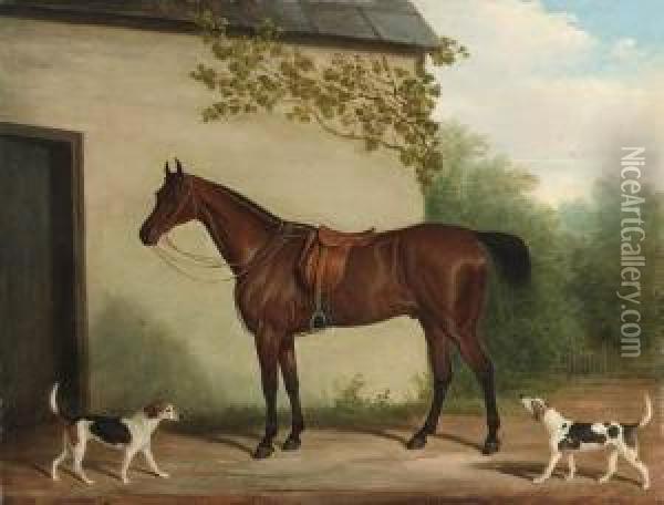 A Bay Hunter With Hounds Outside A Stable Oil Painting - James Loder