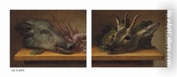 Head Of A Boar With A Bundle Of Parsnips On A Ledge And Head Of A Deer With Cabbage On A Ledge (pair) Oil Painting - Johann Adalbert Angermayer